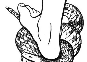 ஸ்திரியின் வித்து