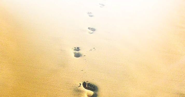 நூல் அறிமுகம் ! அன்புடன் வழிநடத்துதல்