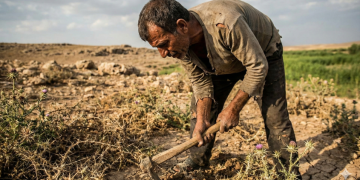 ஆதியாகமம் 3,17-19 தொகுப்பு