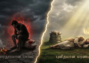 ஆதியாகமம் 4,8 தொகுப்பு